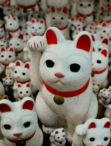 Сколько кошек в японии